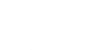 Louis XII logo