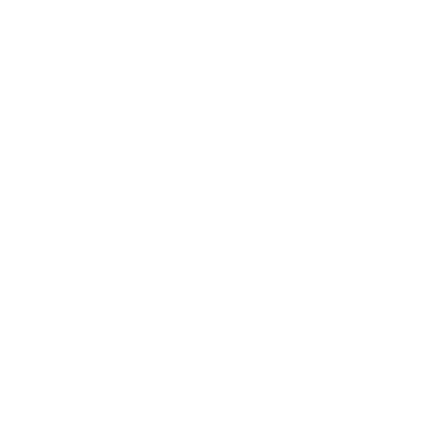 worldwide partners icon