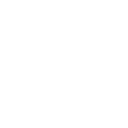 steps star icon